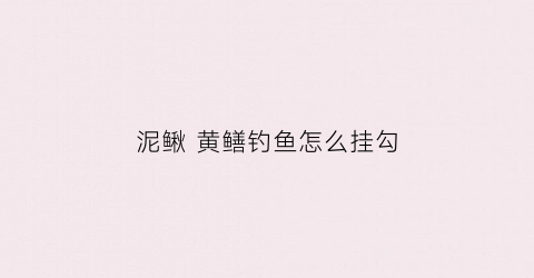 泥鳅黄鳝钓鱼怎么挂勾(泥鳅黄鳝诱饵配方)